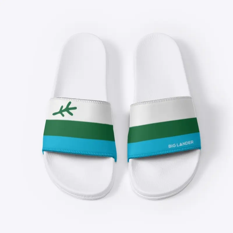 Flag Slides